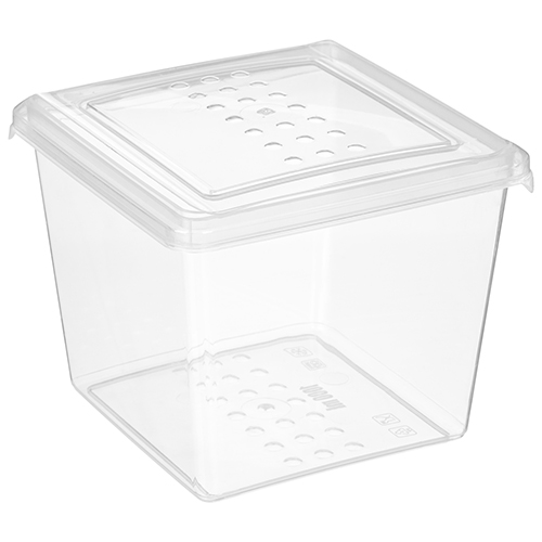 Комплект контейнеров для заморозки Homver Asti 221101301/00, квадратных 1 л х 3 шт, бесцветный