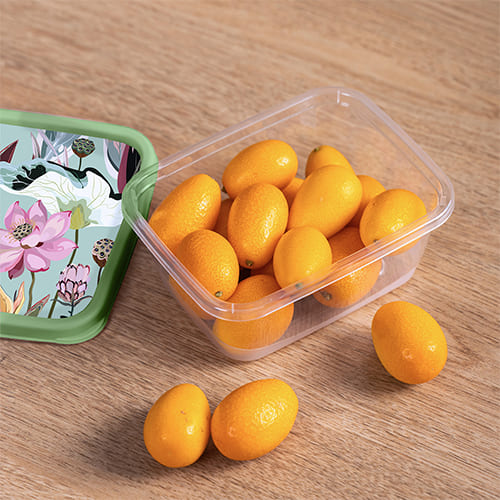 Контейнер для продуктов 1.5 л Homver 222132218/08, с декором, прямоугольный, зеленый