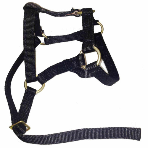 Недоуздок для жеребенка двойн. мал. №1, 1/5