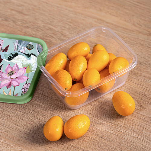 Контейнер для продуктов 0.85 л Homver 222132118/08, с декором, прямоугольный, зеленый