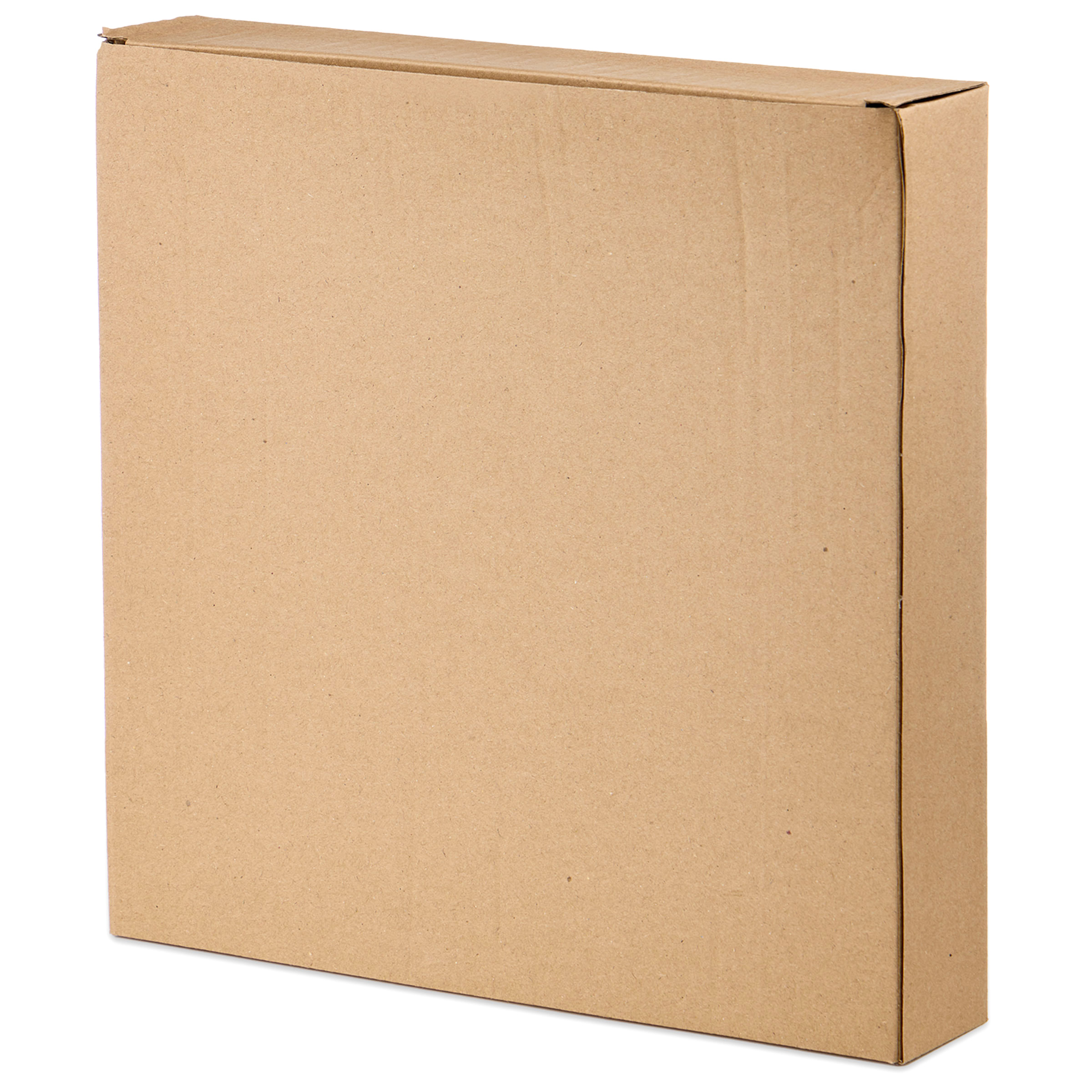 НАБОР ТАРЕЛКОК ОБЕДЕННЫХ КОЛЛЕКЦИЯ, PINE CONES,  2 ШТ. / 25*25*2, 3 СМ