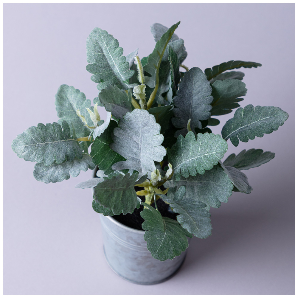 КОМПОЗИЦИЯ ДЕКОРАТИВНАЯ, КАЛАНХОЕ, ВЫСОТА=23 СМ