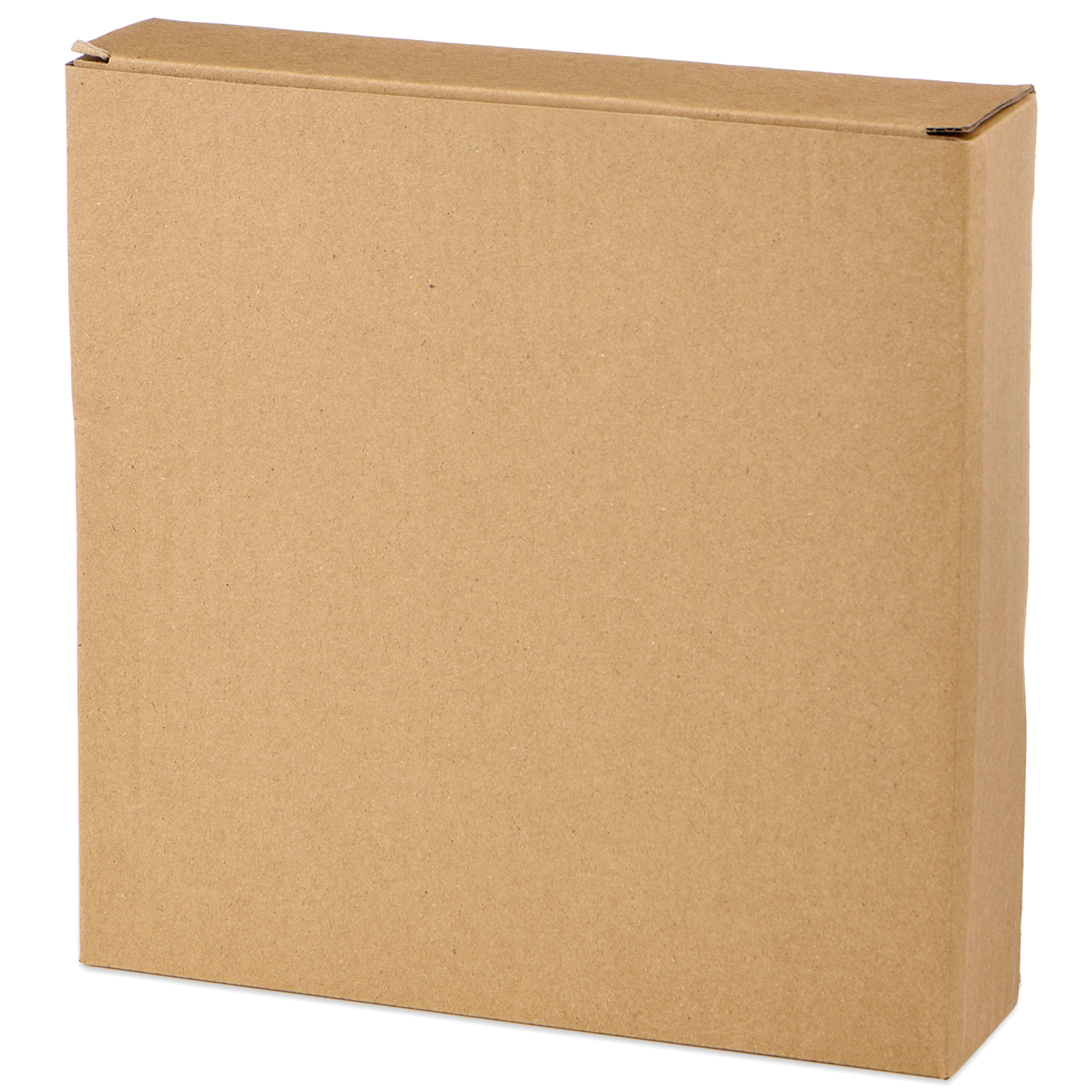 НАБОР ТАРЕЛКОК ЗАКУСОЧНЫХ КОЛЛЕКЦИЯ, PINE CONES,  2 ШТ. / 20, 7*2, 5 СМ