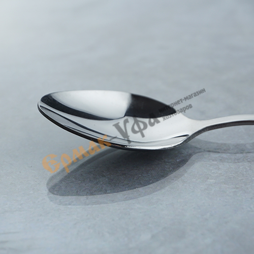 Ложка чайная РОСИНКА М6 б/н Нытва, 6/312