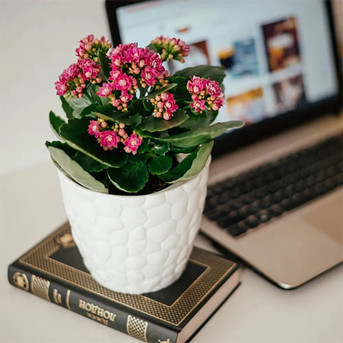 Кашпо 1.4 л IDEA КАМНИ М 3172, 150 мм, белый