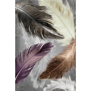 Коврик Dekorelle Velvet silk V268, 50x80см